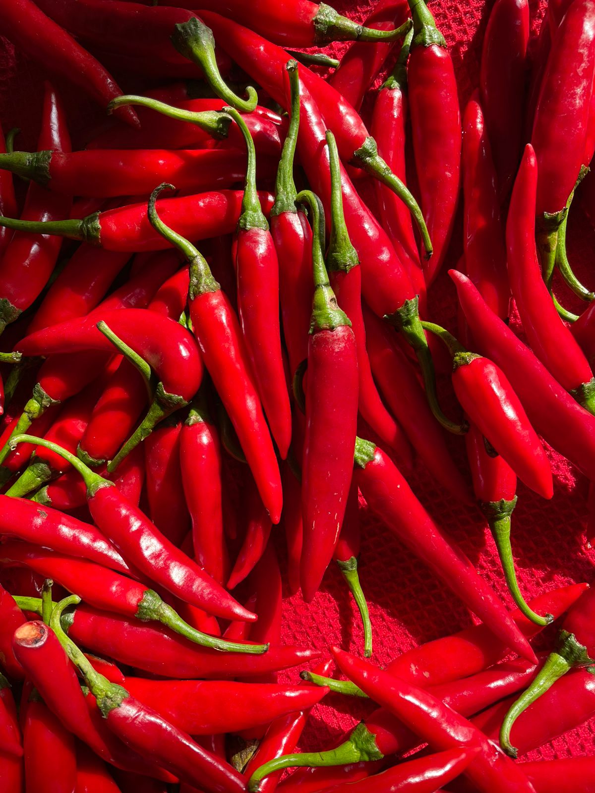 Spicy Pickles